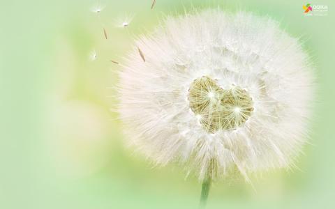 建站需要花费多少？详解网站建设包含的费用