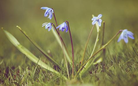 为什么企业不能让营销网站变得便宜？
