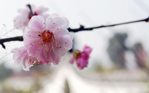 【行业网站建设】行业网站建设到底有哪些技巧？