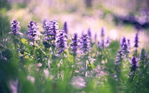 中小企业为什么一定要选择专业网站建设企业？