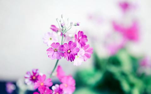 建立企业网站是拓展网络营销推广的有利手段