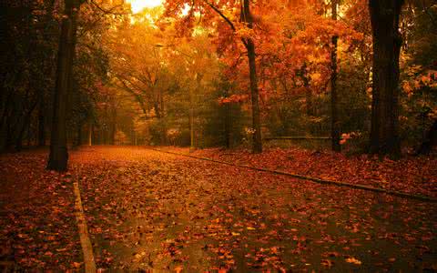 正确把握网站图片优化技巧可提高站点用户体验