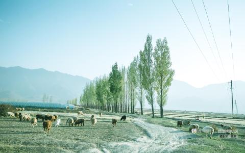 网站建设过程：通过设计、建模的方式来实现