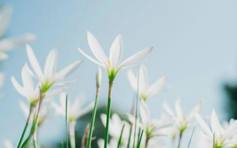 【国内企业网站模板】企业选择网站还是模板更好？