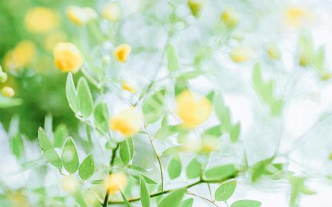 【企业模板网站建设】企业网站建设规划中的几个要点