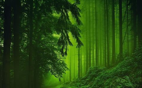 你知道企业营销网站建设的步骤吗？
