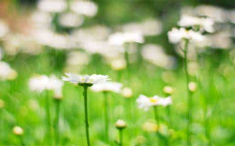 【企业网站建设】如何控制网站建设的细节