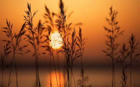 非专业网站建设公司建设的网站有什么危害？