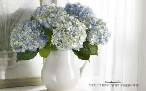 在企业做移动网站之前，先看看这些，再考虑是否做！