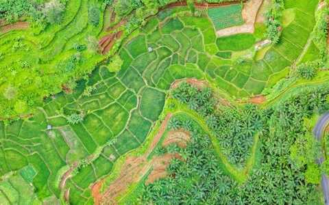 创业企业网站建设的模板选择技巧