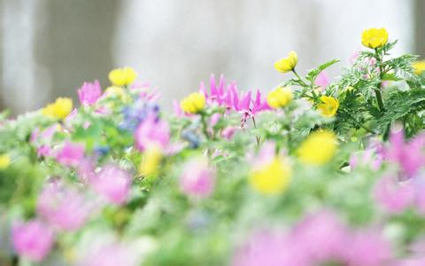 中小企业为什么要进行网站建设？