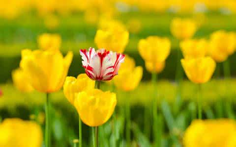 【企业建设网站】企业如何建设网站产生效益