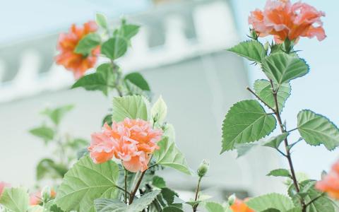 【企业网站怎么建设】企业网站建设过程及注意事项