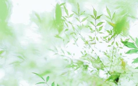 【企业官网建设】企业官网建设应注意以下几点