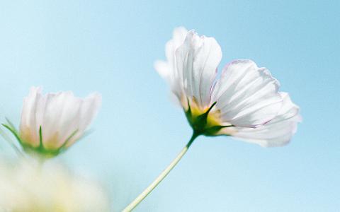 参照这四个维度，企业可以迅速找到一家可靠的网站建设公司