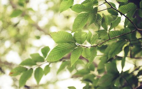 移动网站的建设和设计应注意哪些细节？