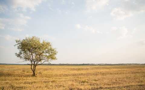是否要选择网站模板来创建网站？什么是模板站点？