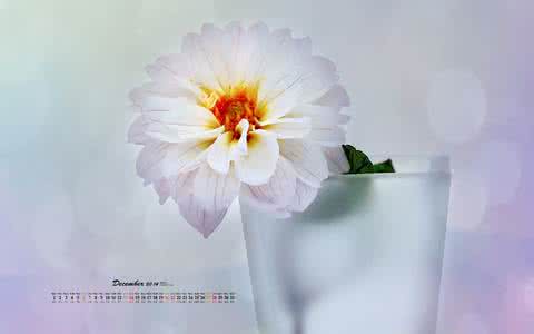 【网站建设推广的品牌】网站建设各阶段的推广方法