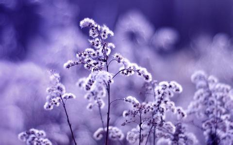 多少空间服务器适合企业网站建设