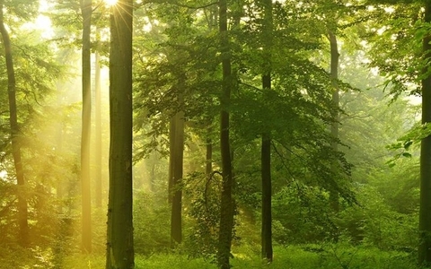 网站建设的核心要素