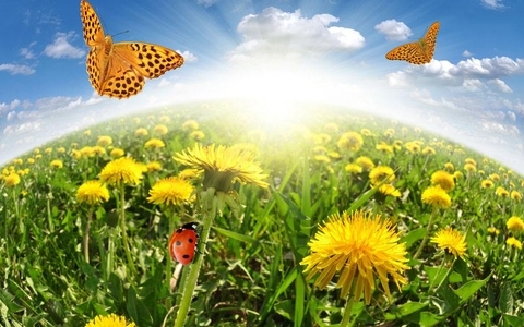 企业网站建设中如何选择服务器？