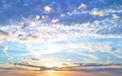 公司很小，需要建立一个网站吗