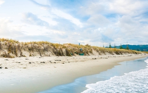 新手想学习如何建立网站？