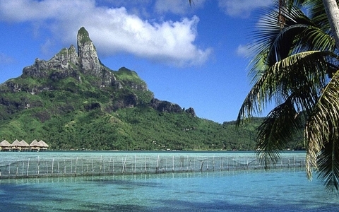 教你分辨模板网站建设的质量和劣势