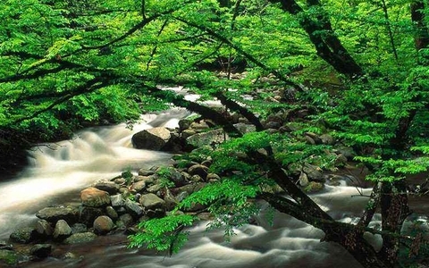 你真的了解如何建立一个网站吗