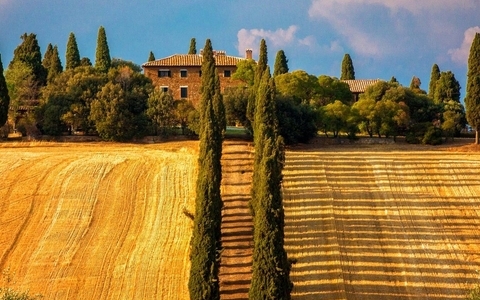 如何为公司制作网页