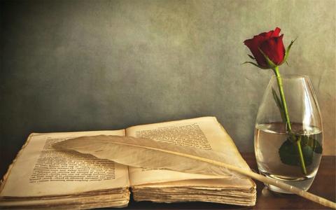 【如何建个企业网站】如何快速建立个人官方网站？