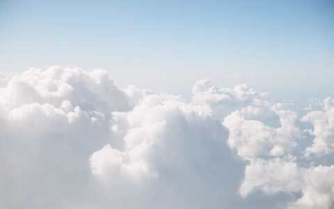 企业免费网站设计模板的要求