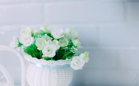 企业免费网站用模板建网站，值得信任吗？