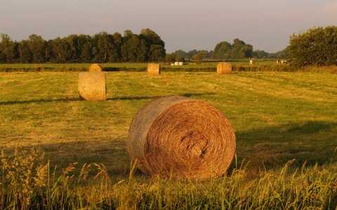 建立网站能够得到哪些好处？