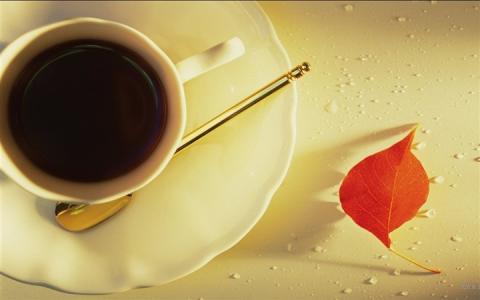 企业网站建设与发展概况