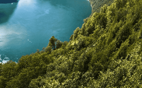 企业网站建设必须明确这些问题