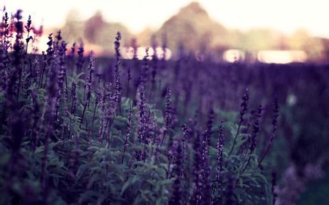 如何建立企业网站来吸引用户？