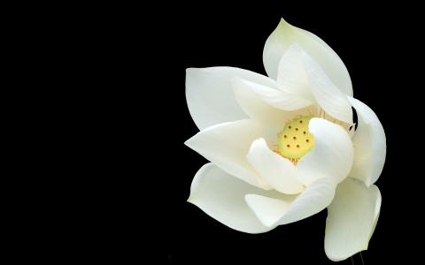 传统企业营销网站建设应注意什么？