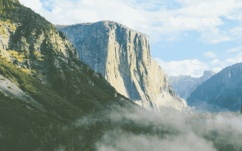 对网站响应性设计的参考建议
