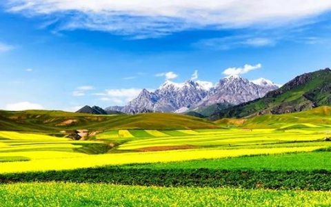 企业高等网站建设的重点是什么