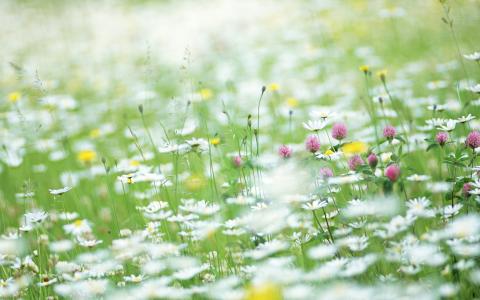 模板网站有利于SEO优化吗