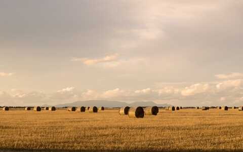企业网站建设需要多大空间