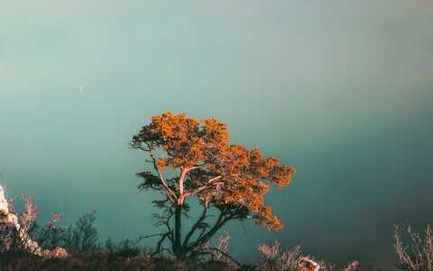 中小企业网站建设的优势是什么