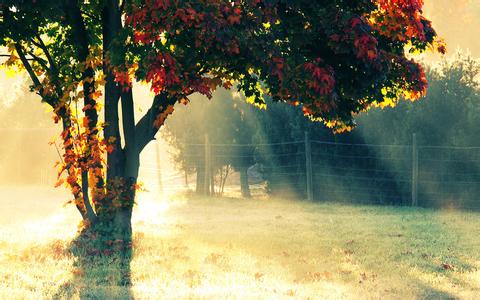 网站建设对企业发展有何价值？为什么我们需要建立网站