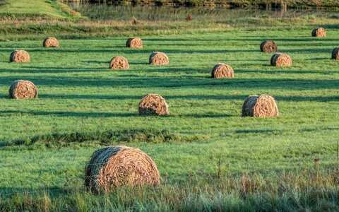 如何打造品牌网站